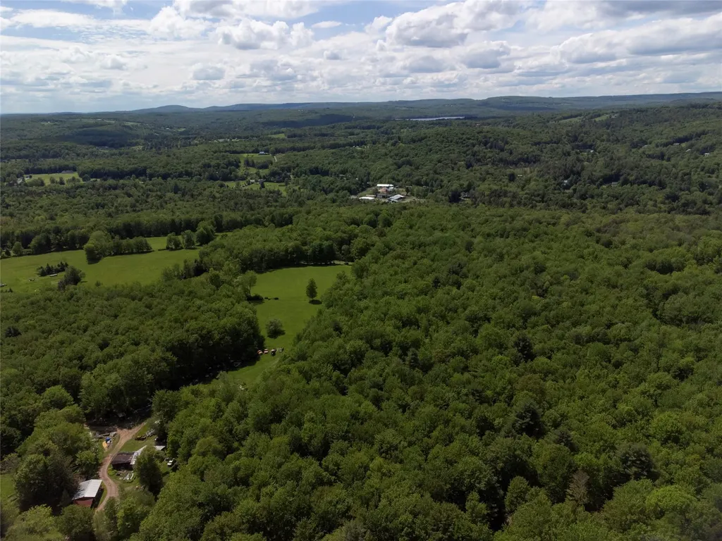 650 Thunder Hill Road Neversink NY 12788