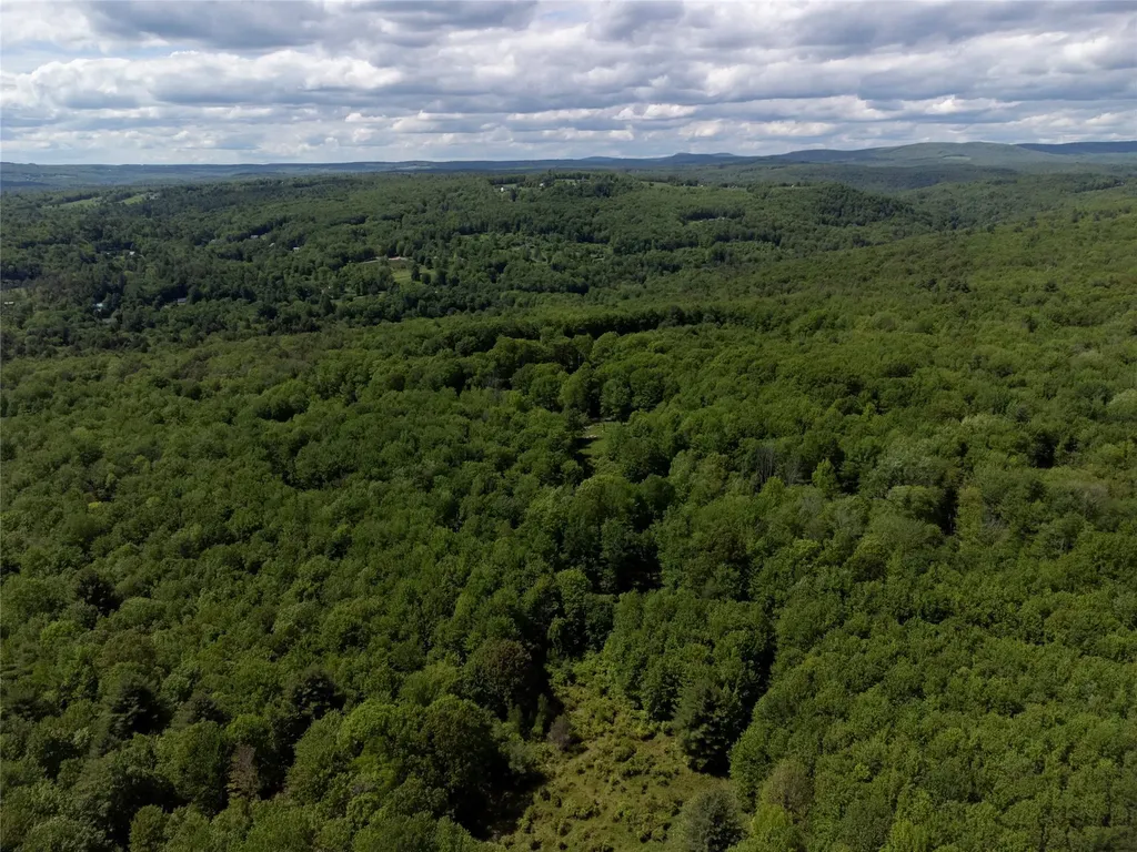 650 Thunder Hill Road Neversink NY 12788