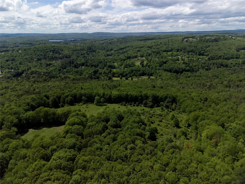 650 Thunder Hill Road Neversink NY 12788