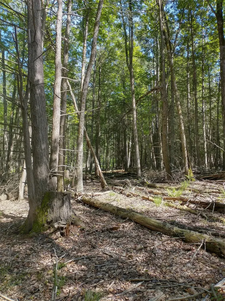 650 Thunder Hill Road Neversink NY 12788