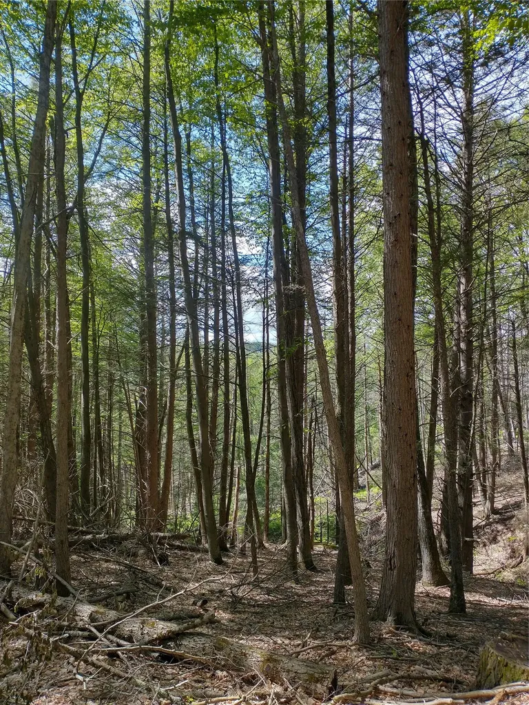650 Thunder Hill Road Neversink NY 12788