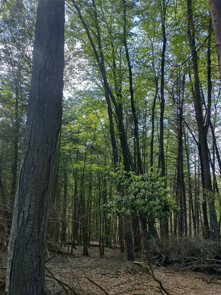 650 Thunder Hill Road Neversink NY 12788