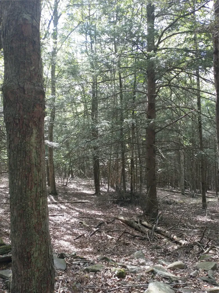 650 Thunder Hill Road Neversink NY 12788