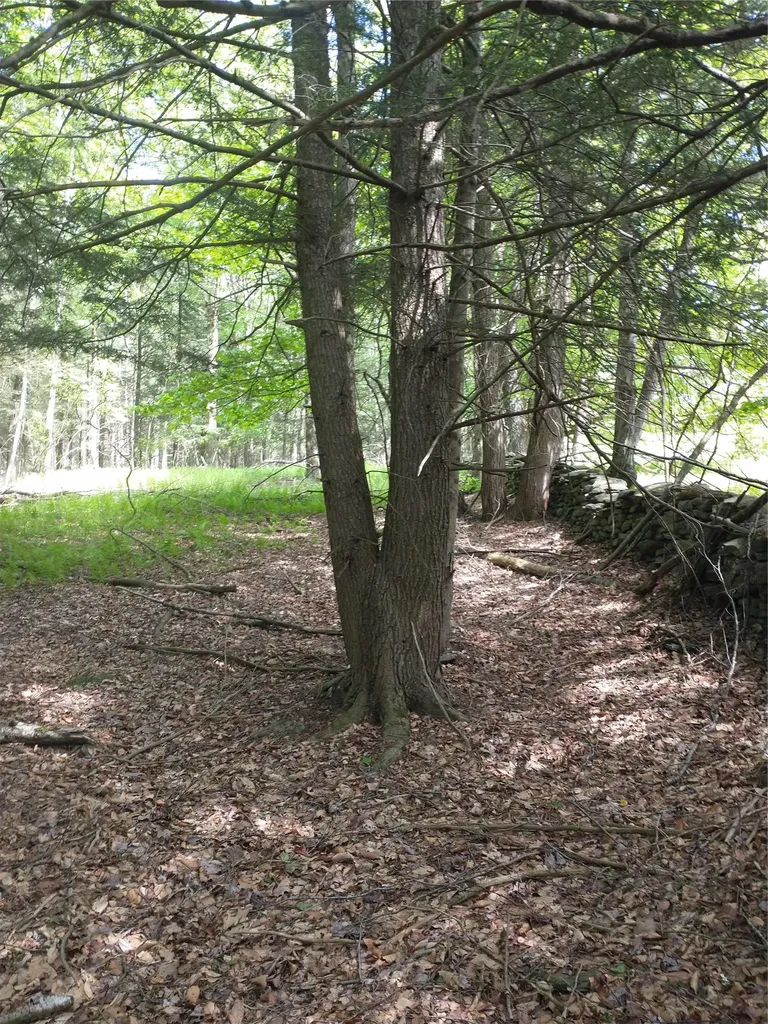 650 Thunder Hill Road Neversink NY 12788