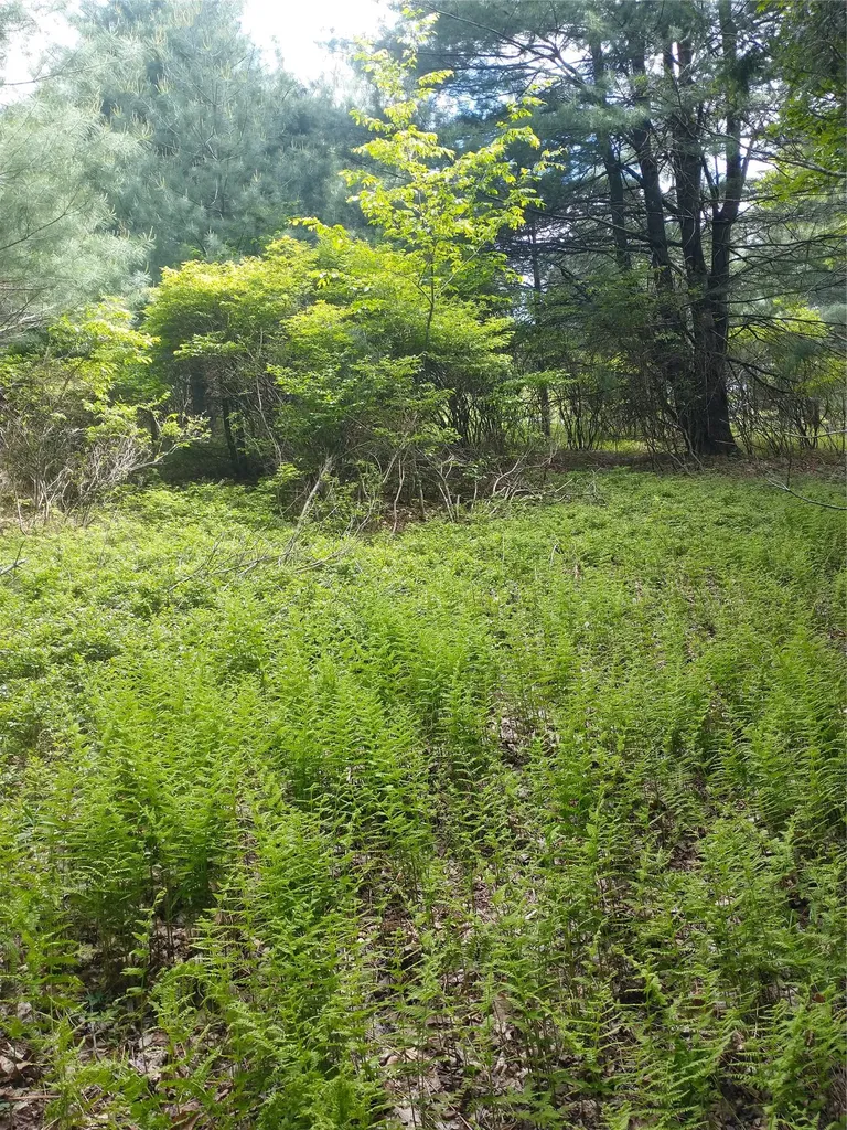 650 Thunder Hill Road Neversink NY 12788