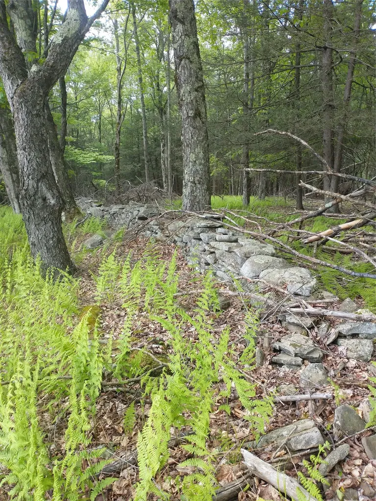 650 Thunder Hill Road Neversink NY 12788