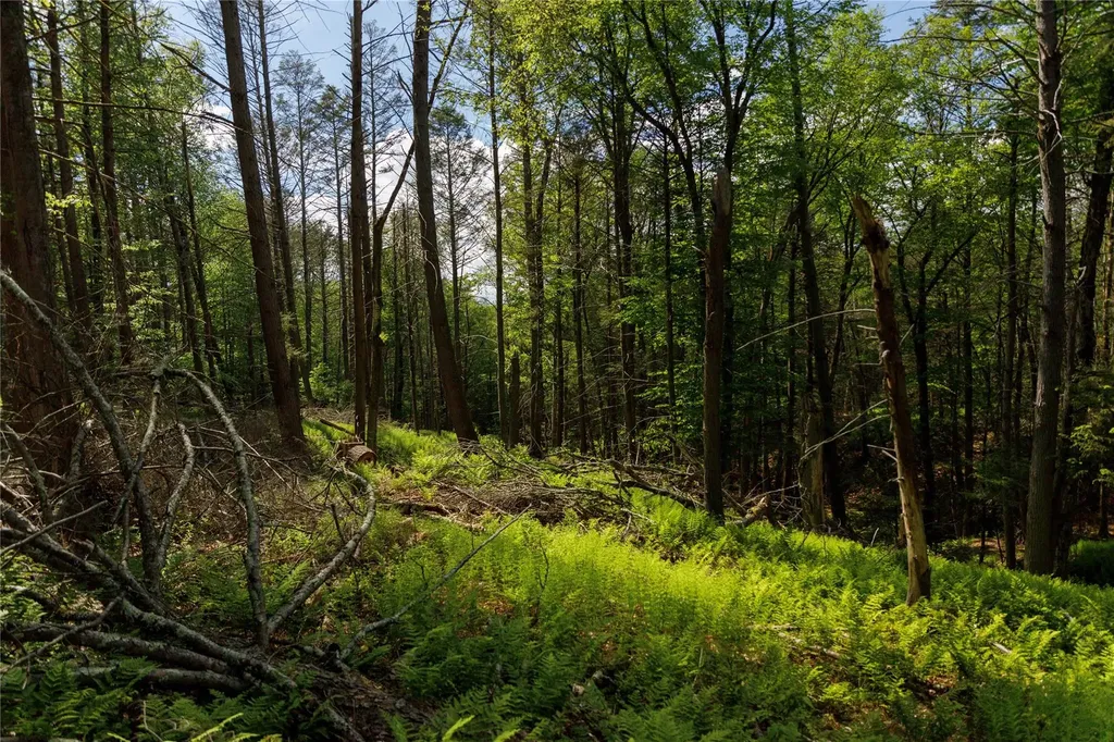 650 Thunder Hill Road Neversink NY 12788