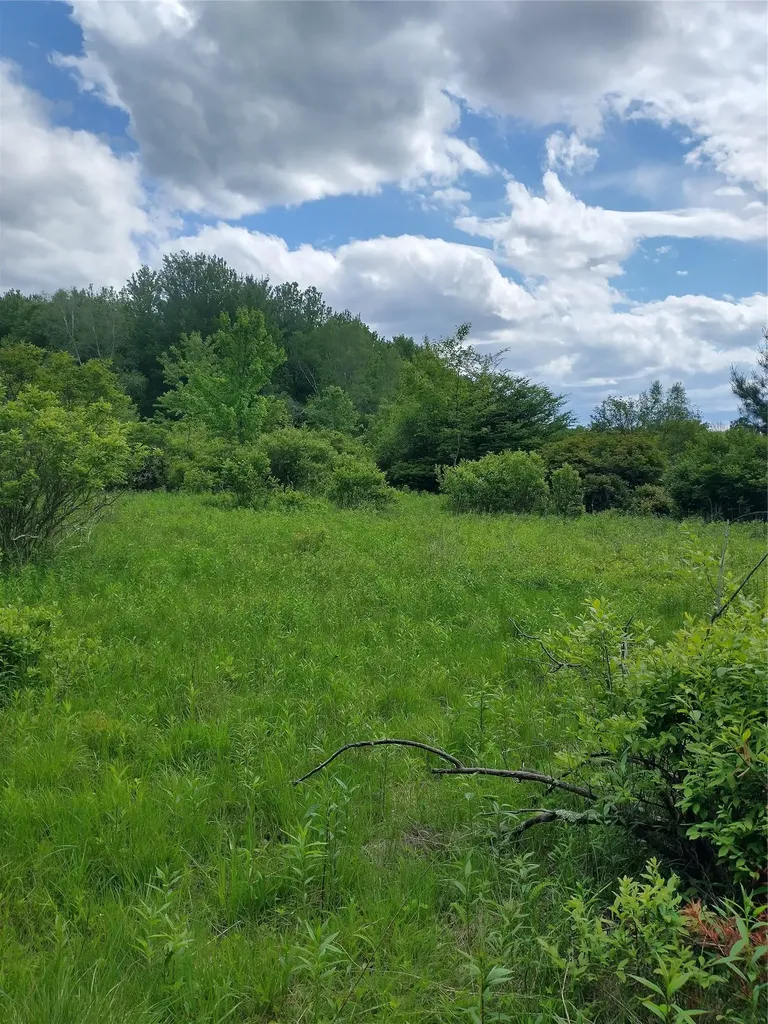 650 Thunder Hill Road Neversink NY 12788