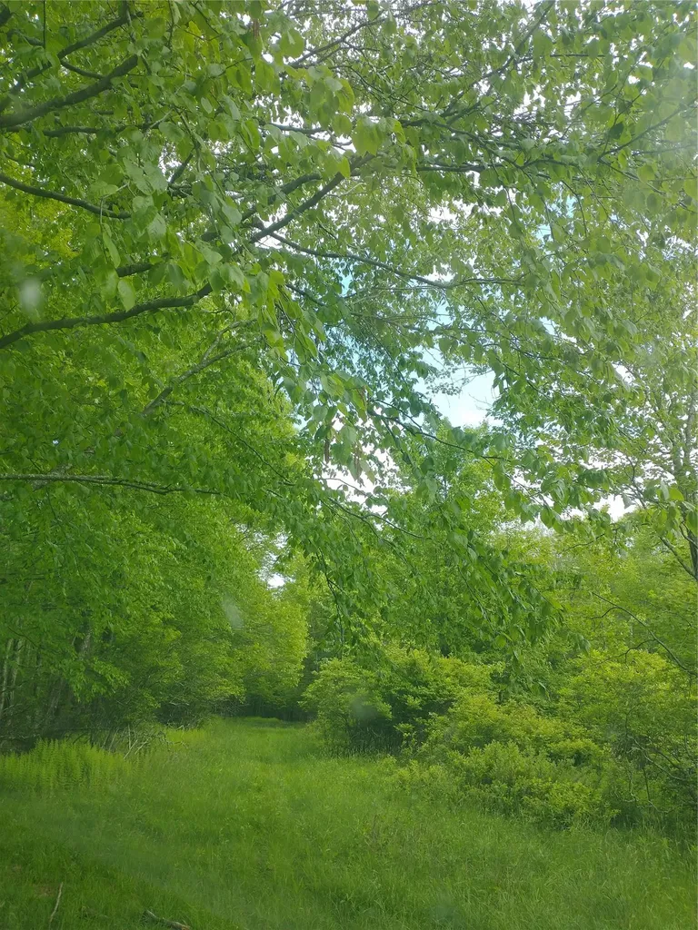 650 Thunder Hill Road Neversink NY 12788