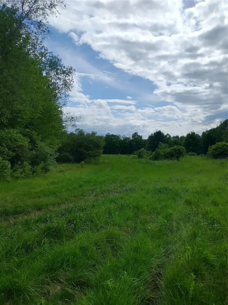 650 Thunder Hill Road Neversink NY 12788