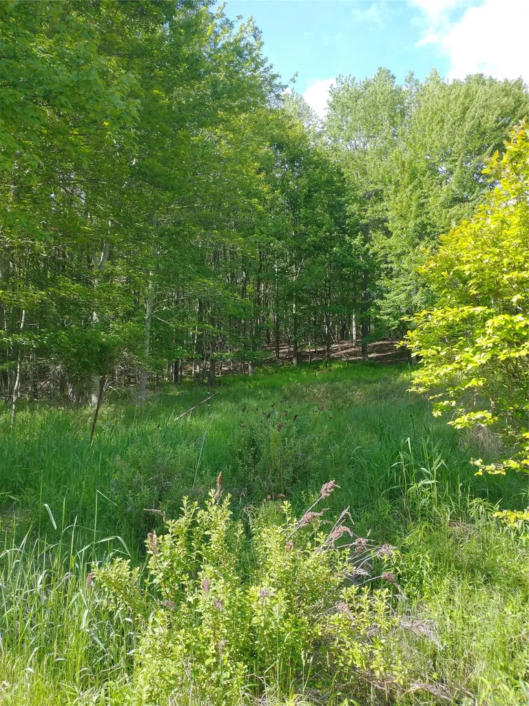 650 Thunder Hill Road Neversink NY 12788