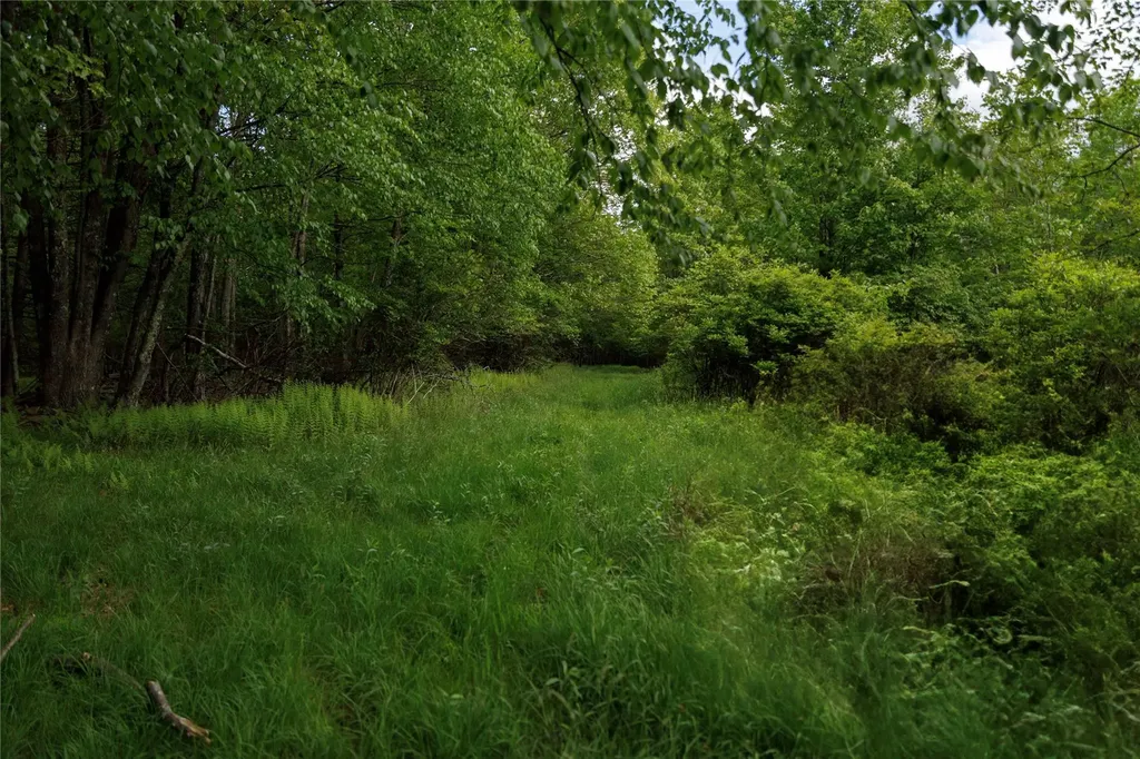 650 Thunder Hill Road Neversink NY 12788