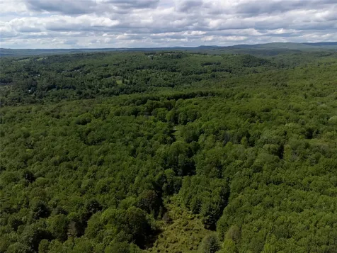 650 Thunder Hill Road Neversink NY 12788