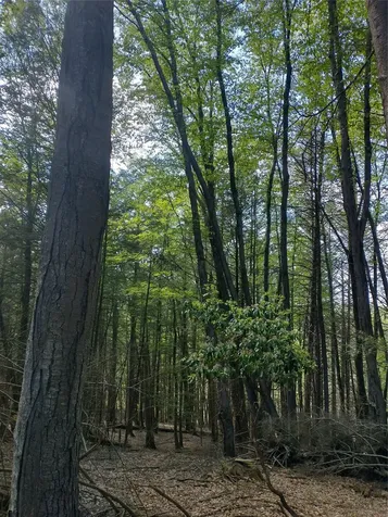 650 Thunder Hill Road Neversink NY 12788
