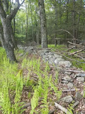650 Thunder Hill Road Neversink NY 12788