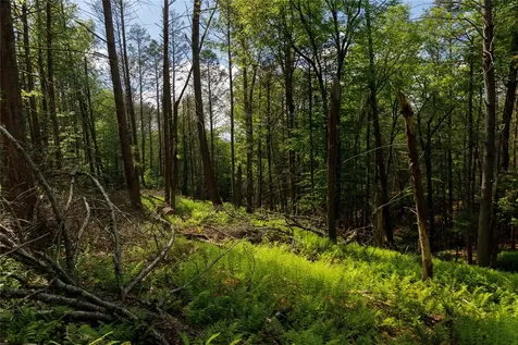 650 Thunder Hill Road Neversink NY 12788