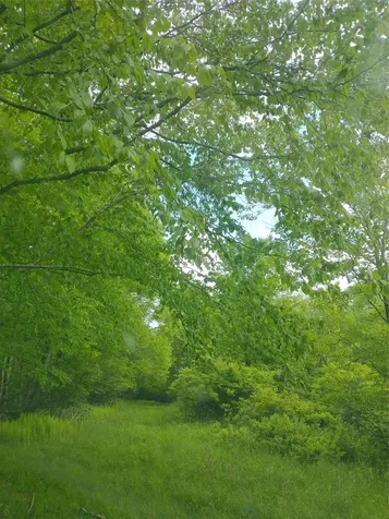 650 Thunder Hill Road Neversink NY 12788