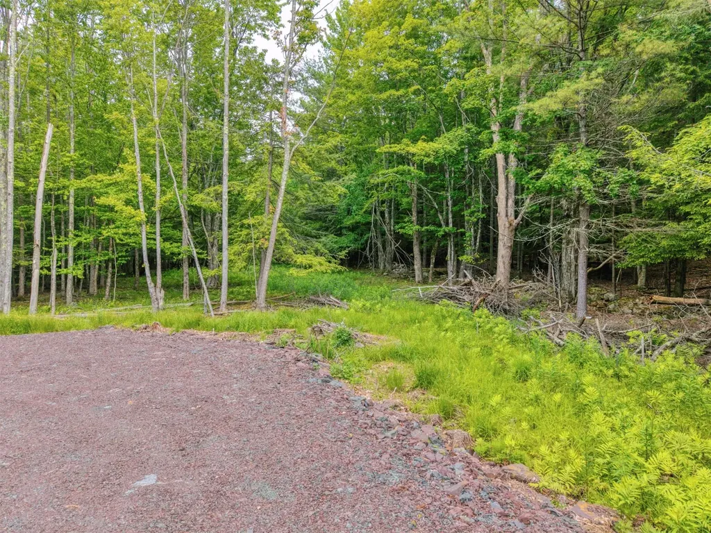 Tbd Boulder Brook Lot 13b Road Windham NY 12496
