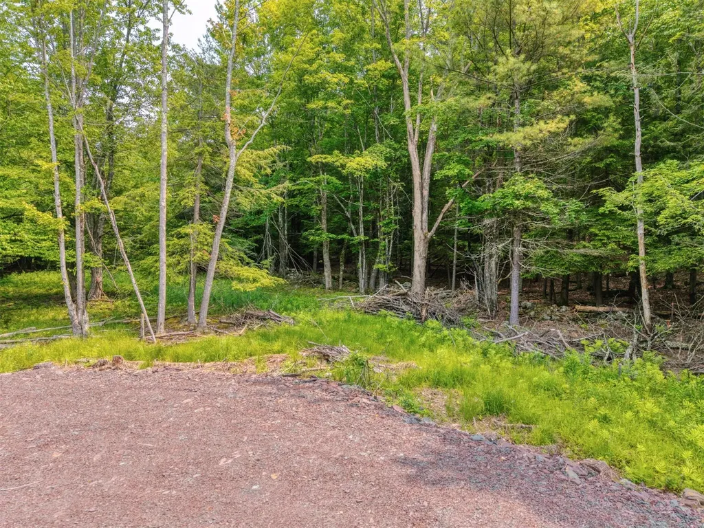 Tbd Boulder Brook Lot 13b Road Windham NY 12496