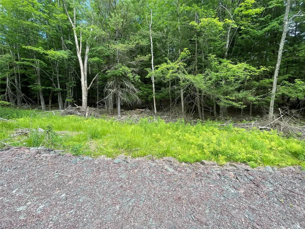 Tbd Boulder Brook Lot 13b Road Windham NY 12496