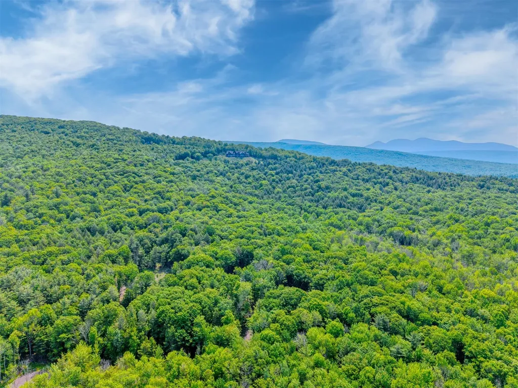 Tbd Boulder Brook Lot 13b Road Windham NY 12496