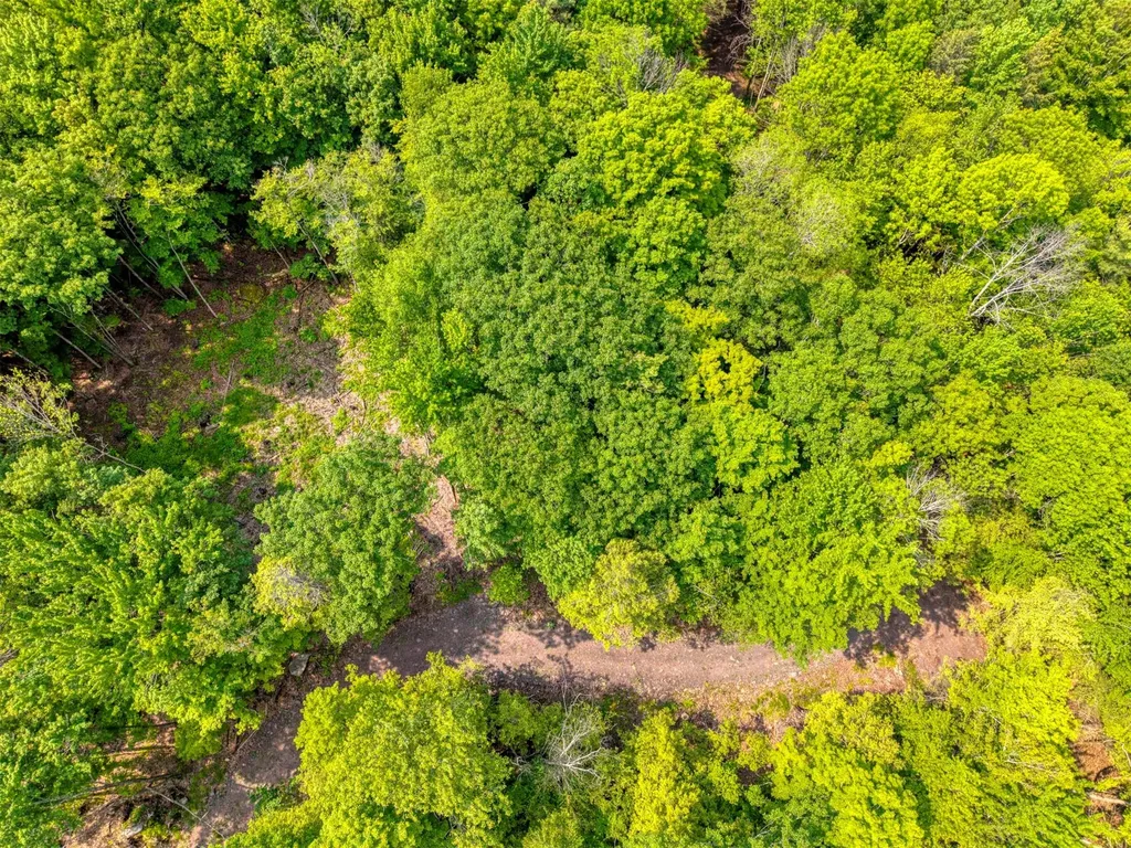 Tbd Boulder Brook Lot 13b Road Windham NY 12496
