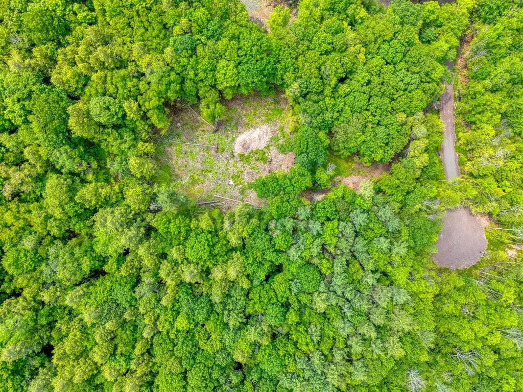 Tbd Boulder Brook Lot 13b Road Windham NY 12496