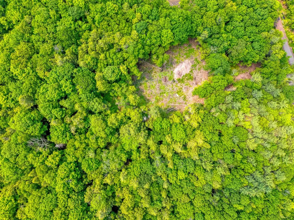 Tbd Boulder Brook Lot 13b Road Windham NY 12496