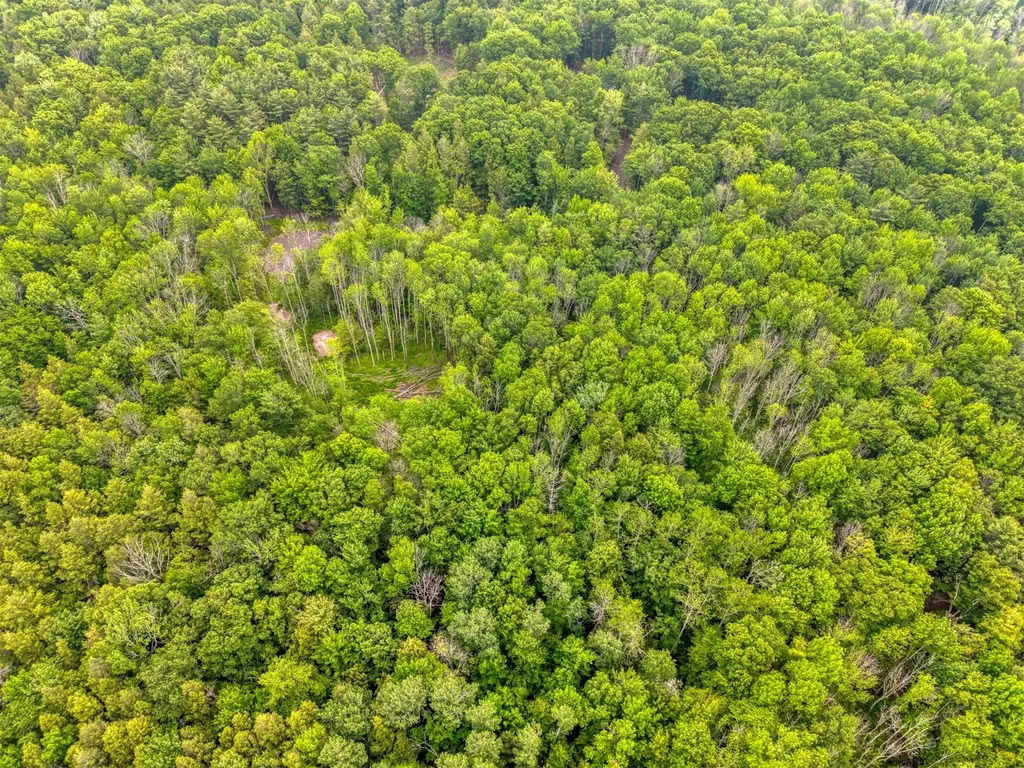 Tbd Boulder Brook Lot 13b Road Windham NY 12496