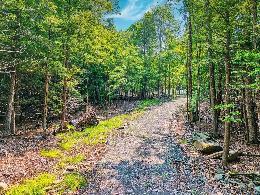 Tbd Boulder Brook Lot 13b Road Windham NY 12496