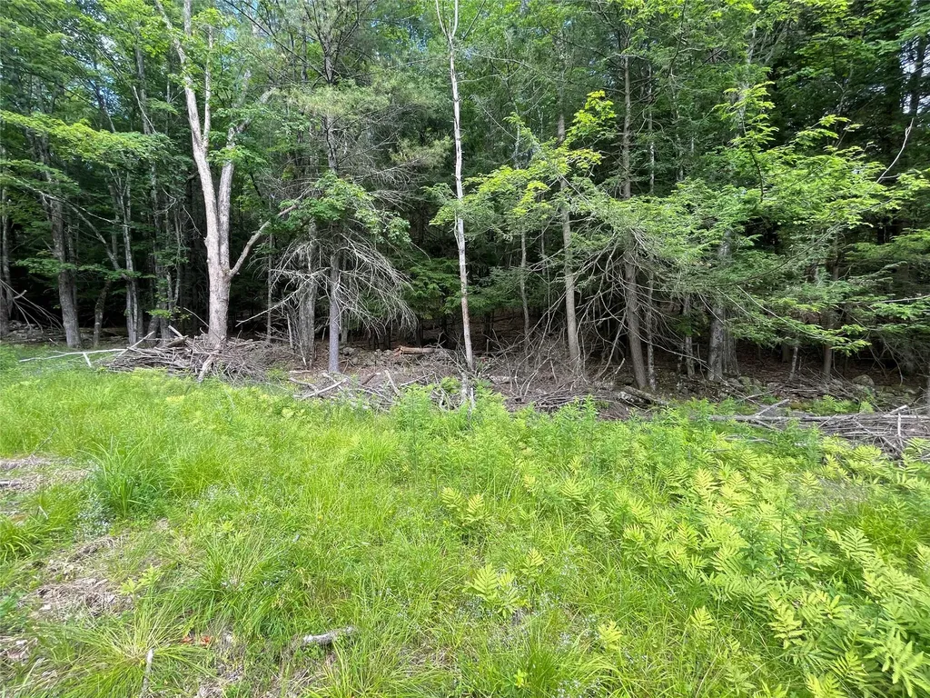 Tbd Boulder Brook Lot 13b Road Windham NY 12496