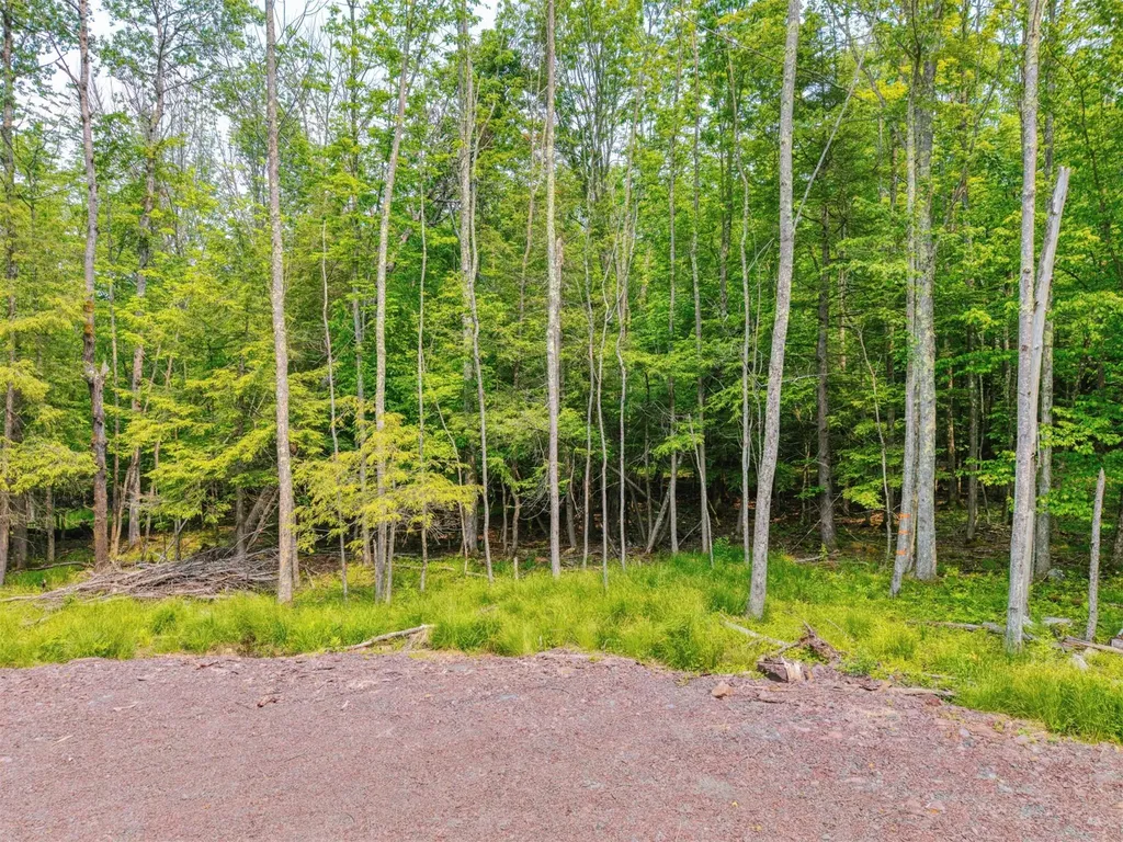 Tbd Boulder Brook Lot 13b Road Windham NY 12496
