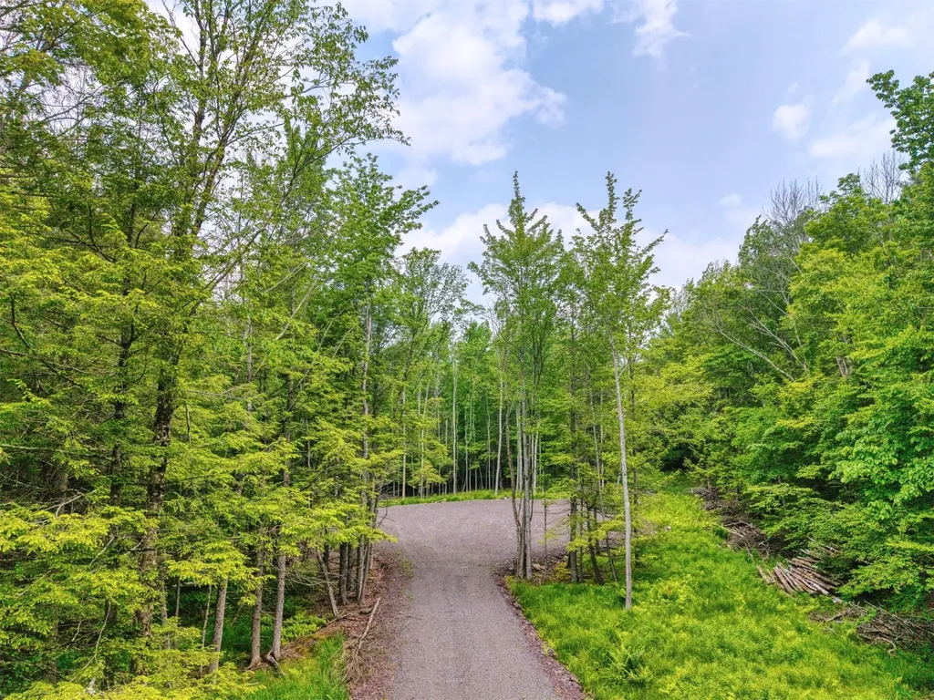 Tbd Boulder Brook Lot 13b Road Windham NY 12496