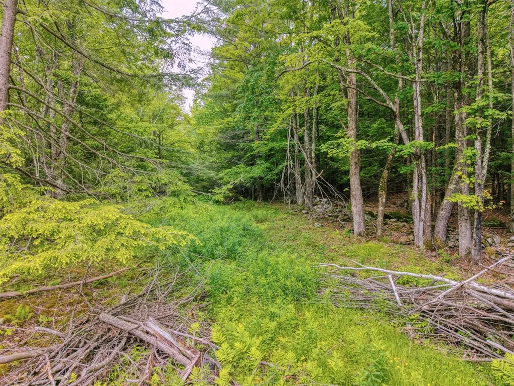 Tbd Boulder Brook Lot 13b Road Windham NY 12496