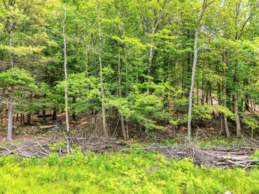 Tbd Boulder Brook Lot 13b Road Windham NY 12496