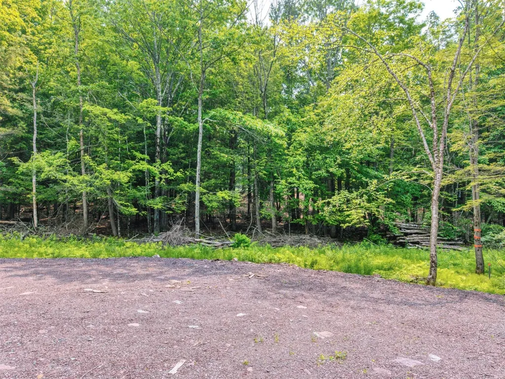 Tbd Boulder Brook Lot 13b Road Windham NY 12496
