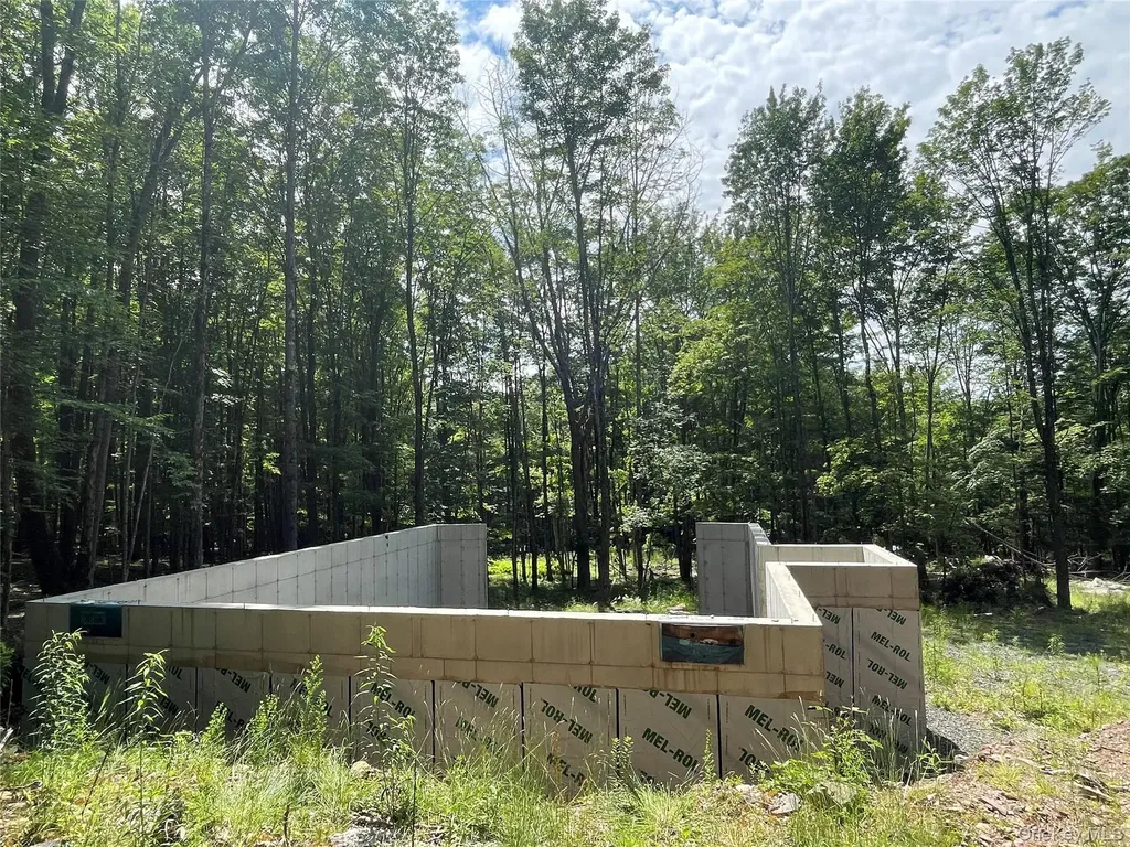 Tbd Boulder Brook Lots 33-38 Road Windham NY 12496