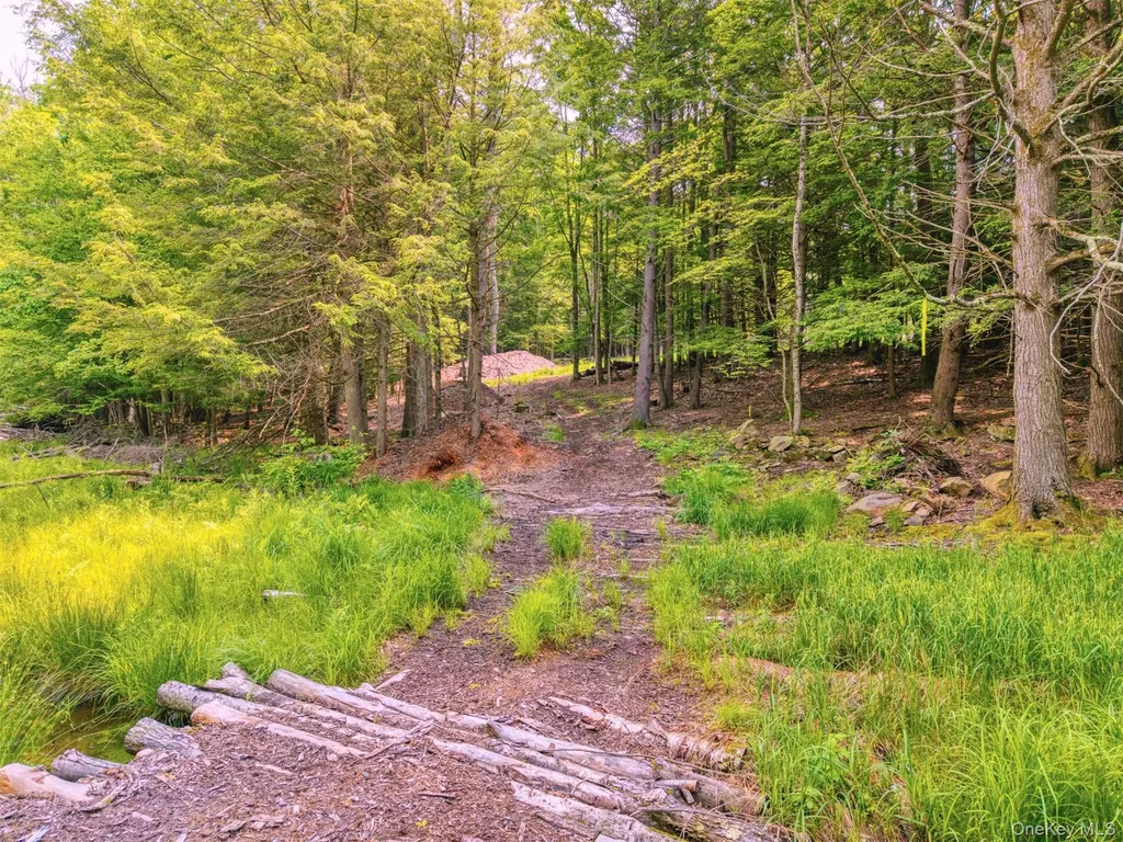 Tbd Boulder Brook Lots 33-38 Road Windham NY 12496
