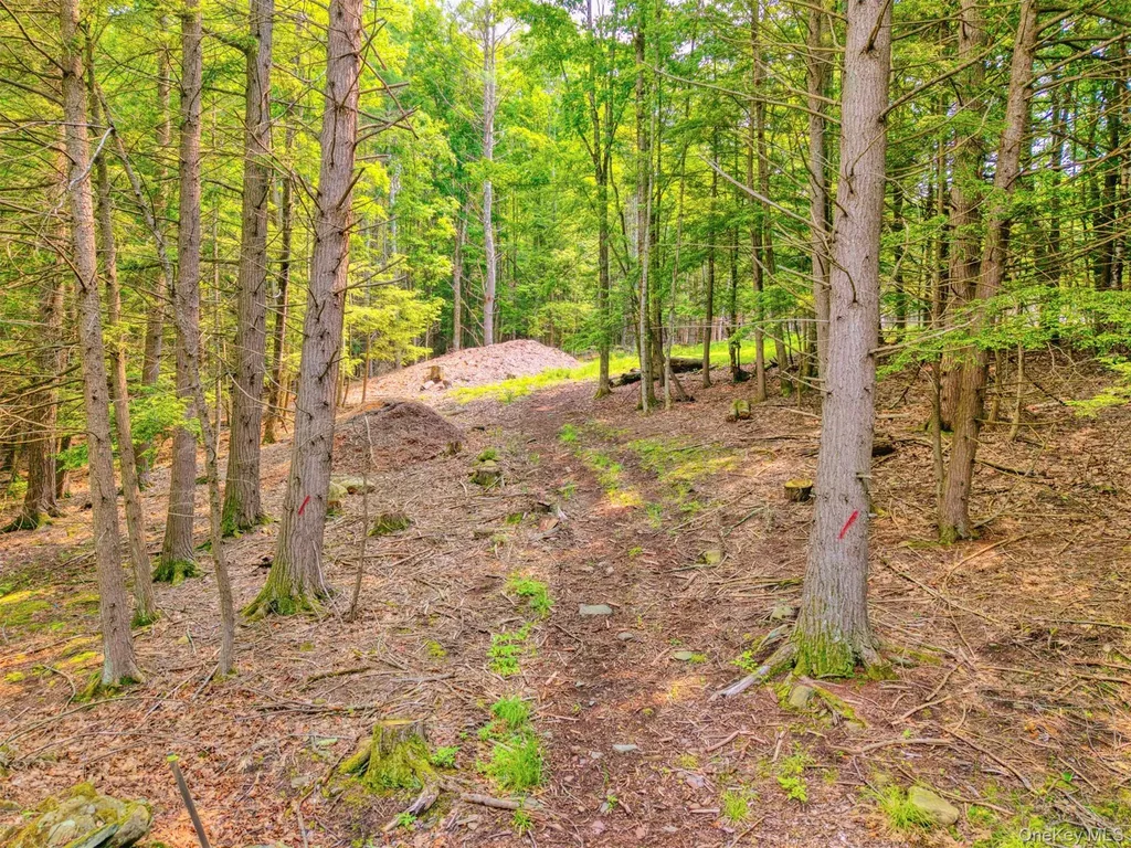 Tbd Boulder Brook Lots 33-38 Road Windham NY 12496