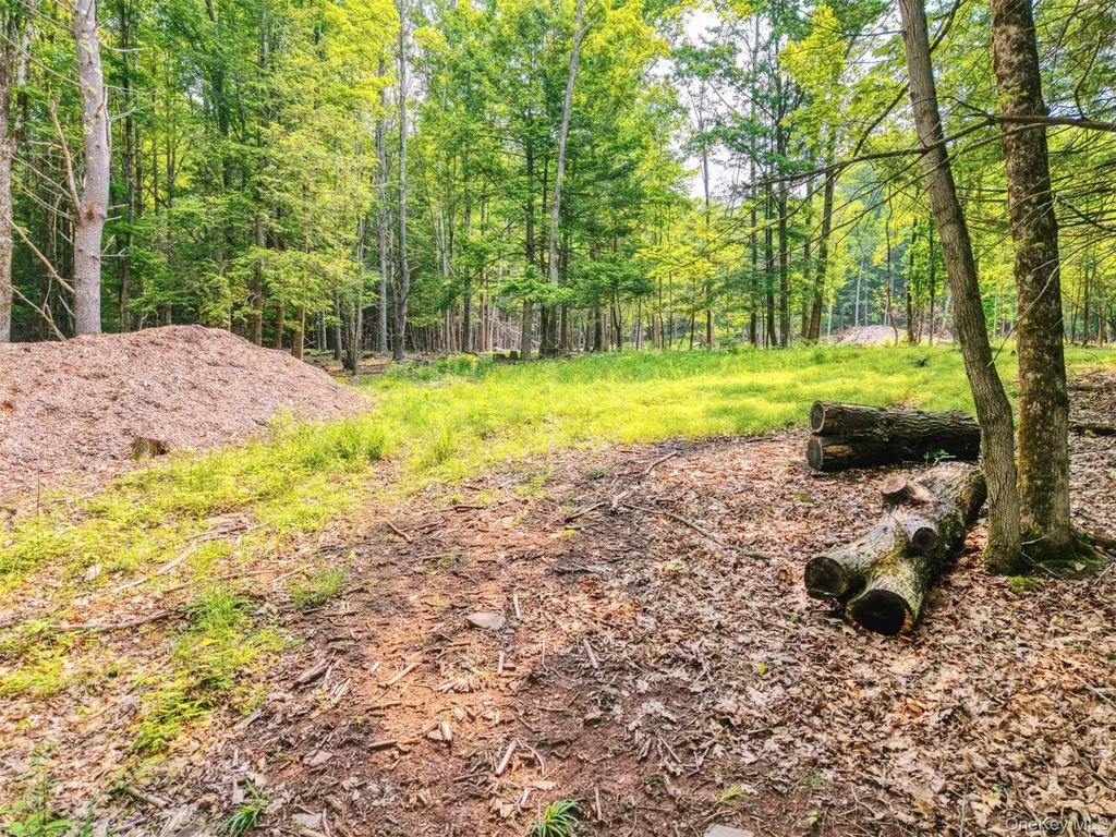 Tbd Boulder Brook Lots 33-38 Road Windham NY 12496