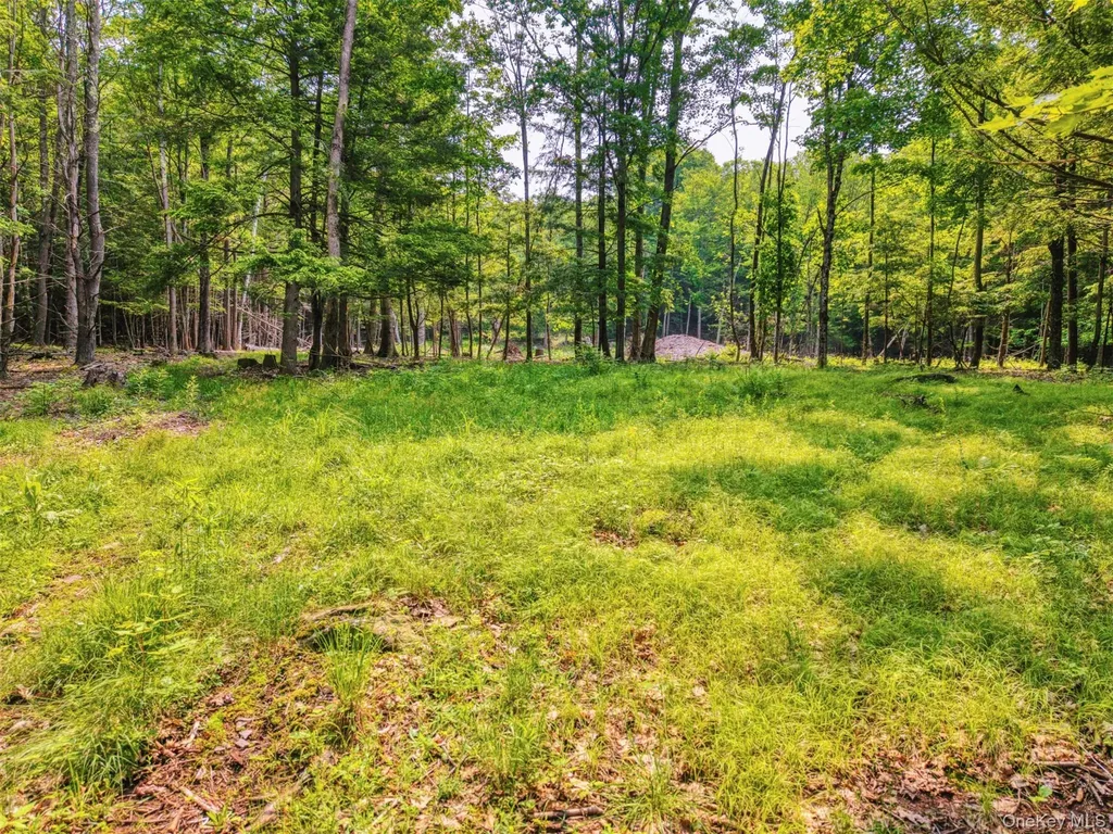 Tbd Boulder Brook Lots 33-38 Road Windham NY 12496