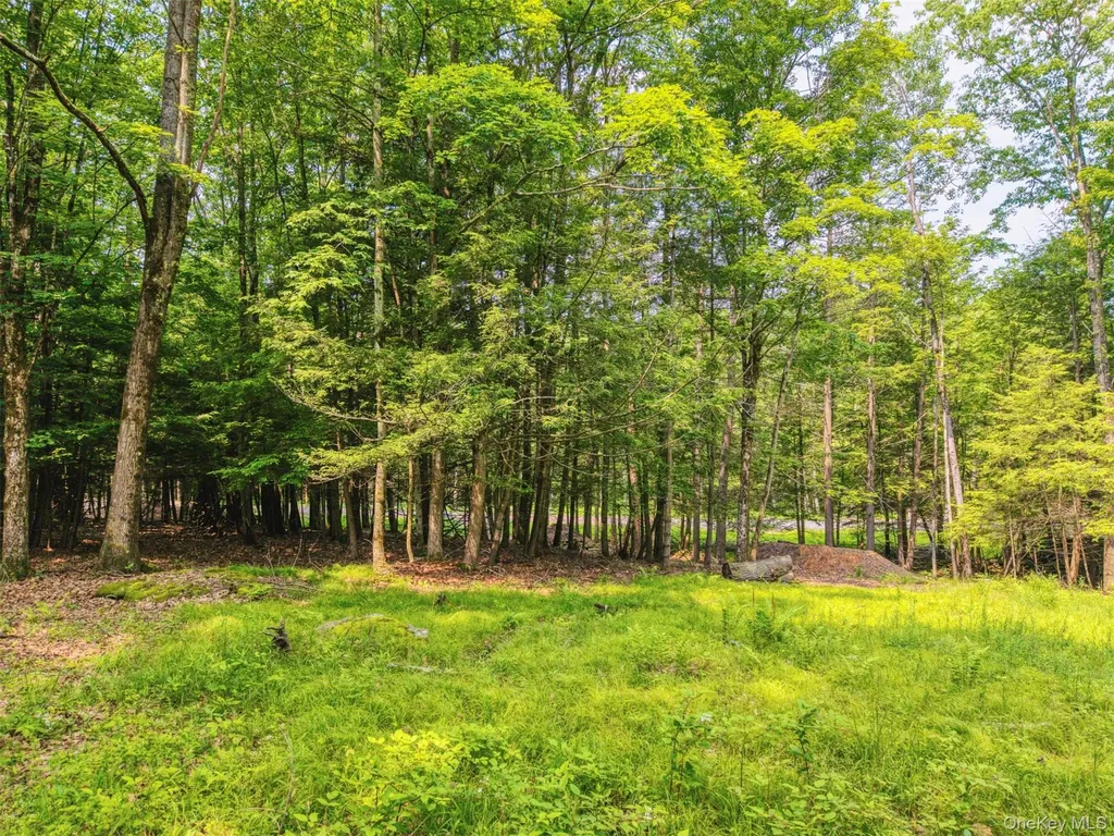 Tbd Boulder Brook Lots 33-38 Road Windham NY 12496