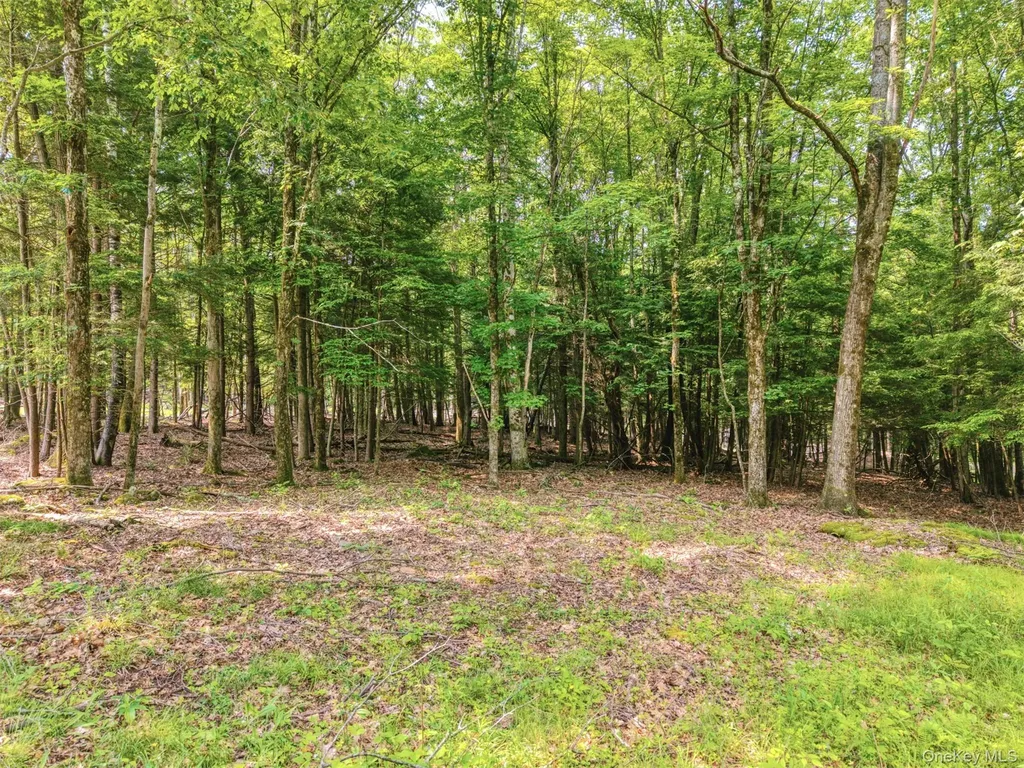 Tbd Boulder Brook Lots 33-38 Road Windham NY 12496