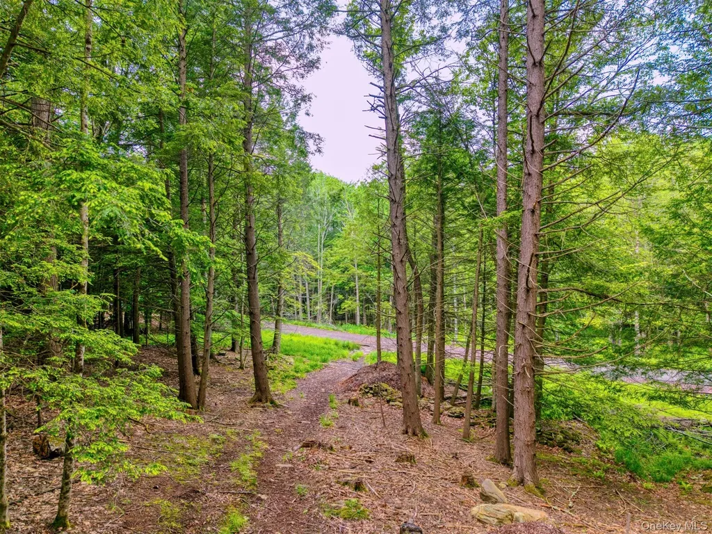 Tbd Boulder Brook Lots 33-38 Road Windham NY 12496