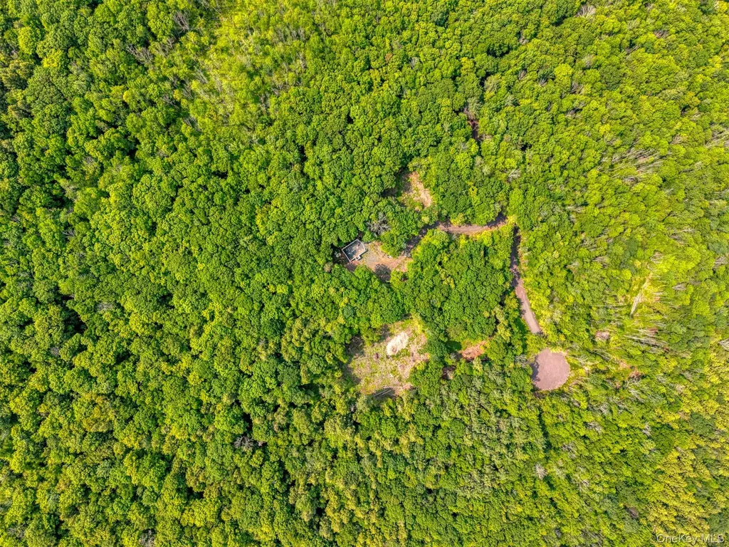 Tbd Boulder Brook Lots 33-38 Road Windham NY 12496