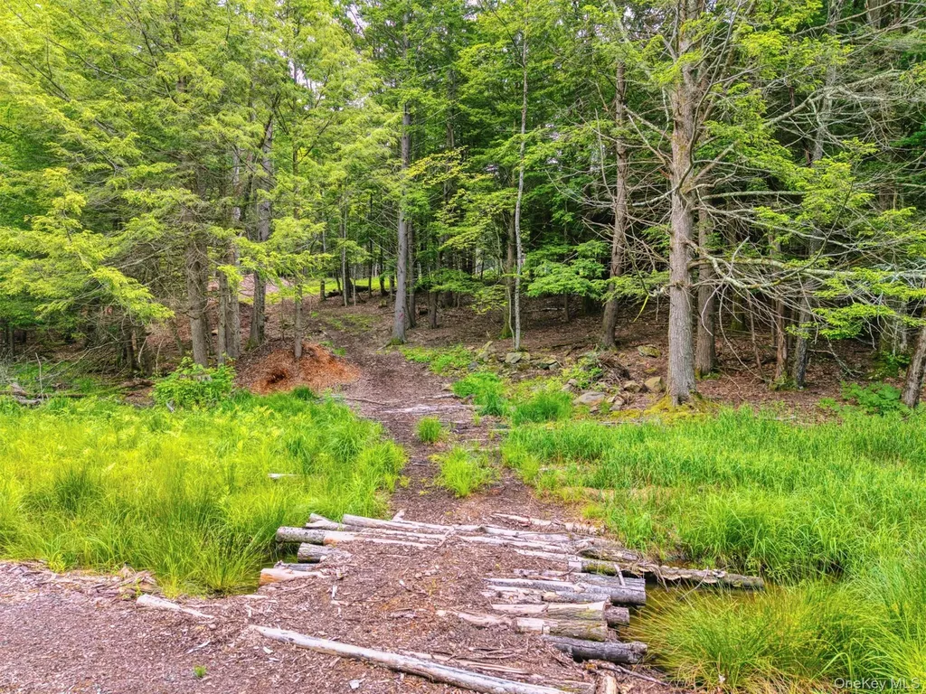 Tbd Boulder Brook Lots 33-38 Road Windham NY 12496