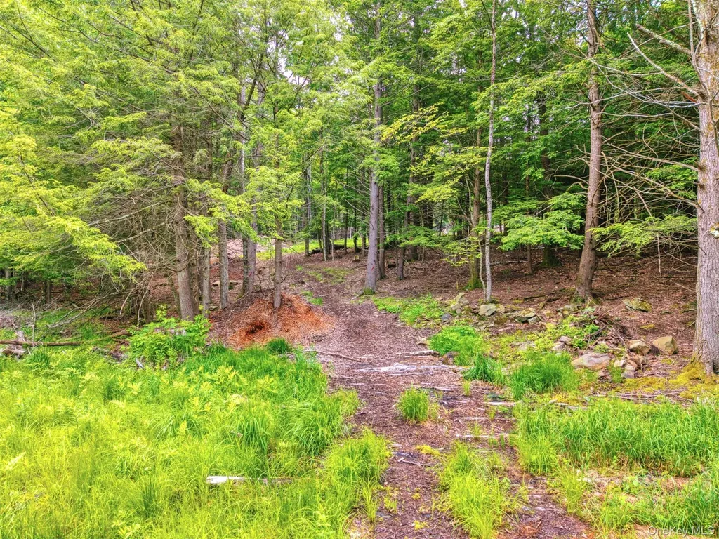 Tbd Boulder Brook Lots 33-38 Road Windham NY 12496