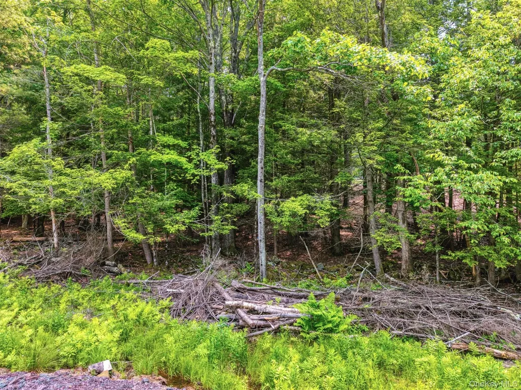 Tbd Boulder Brook Lots 33-38 Road Windham NY 12496