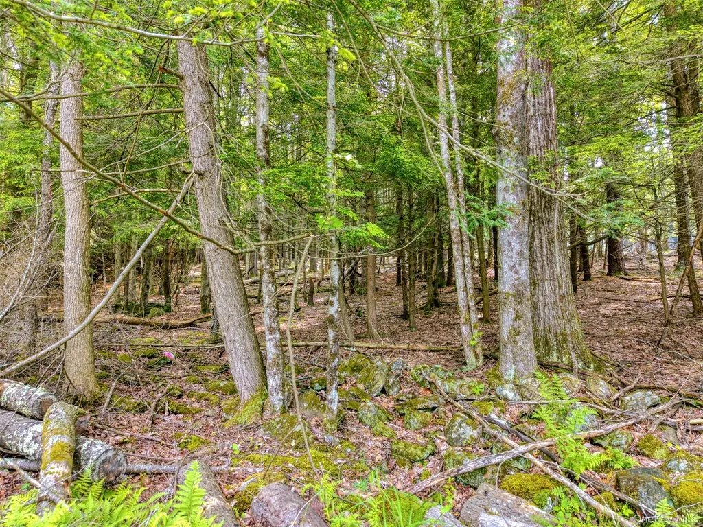 Tbd Boulder Brook Lots 33-38 Road Windham NY 12496