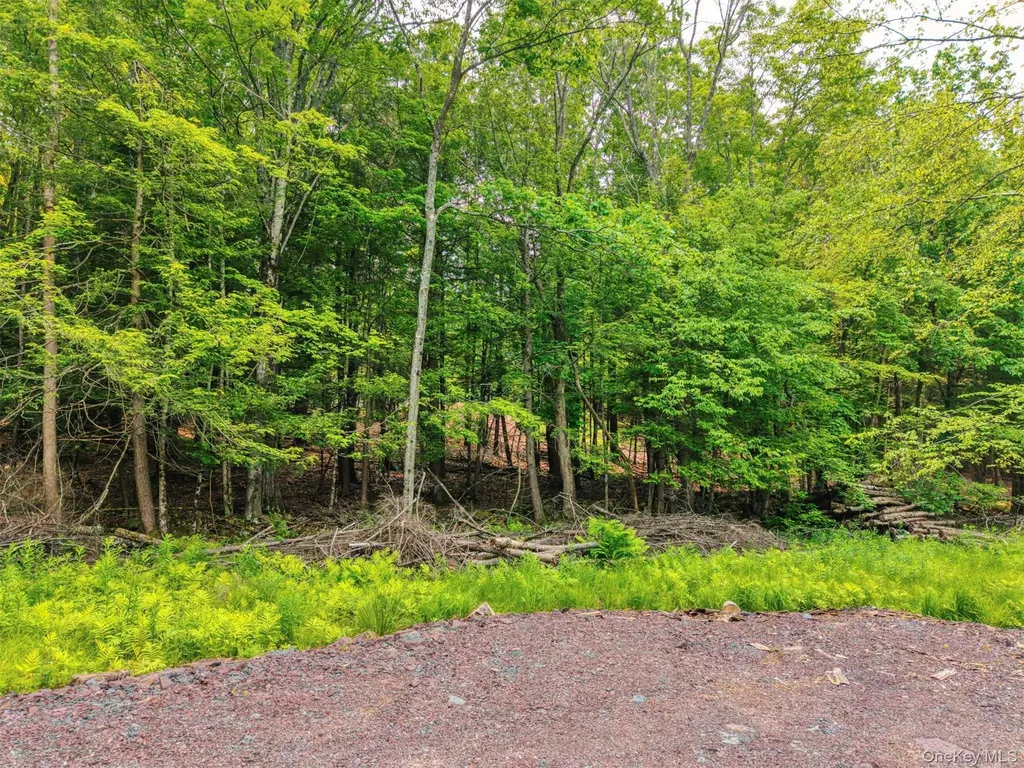 Tbd Boulder Brook Lots 33-38 Road Windham NY 12496